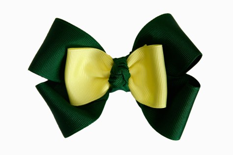 SantaCruzgreennomedal